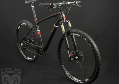 aries red black custom bike