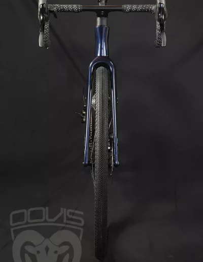 Gravel Vulpes Custom Bike Ansicht frontal vorne